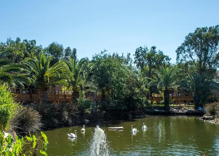 Camping Arinella Bianca 5*